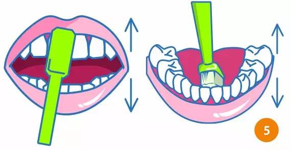 如何正確嘅刷牙以防止牙周病嘅發生？